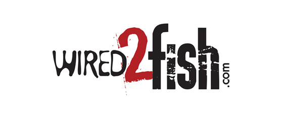 Wired2fish.com Dropship Account