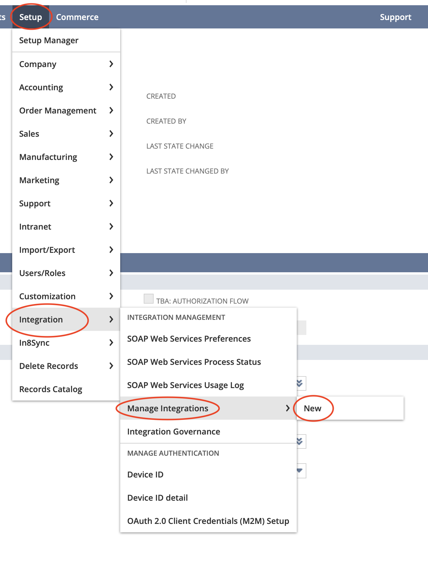 Log into NetSuite and navigate to add a new integration