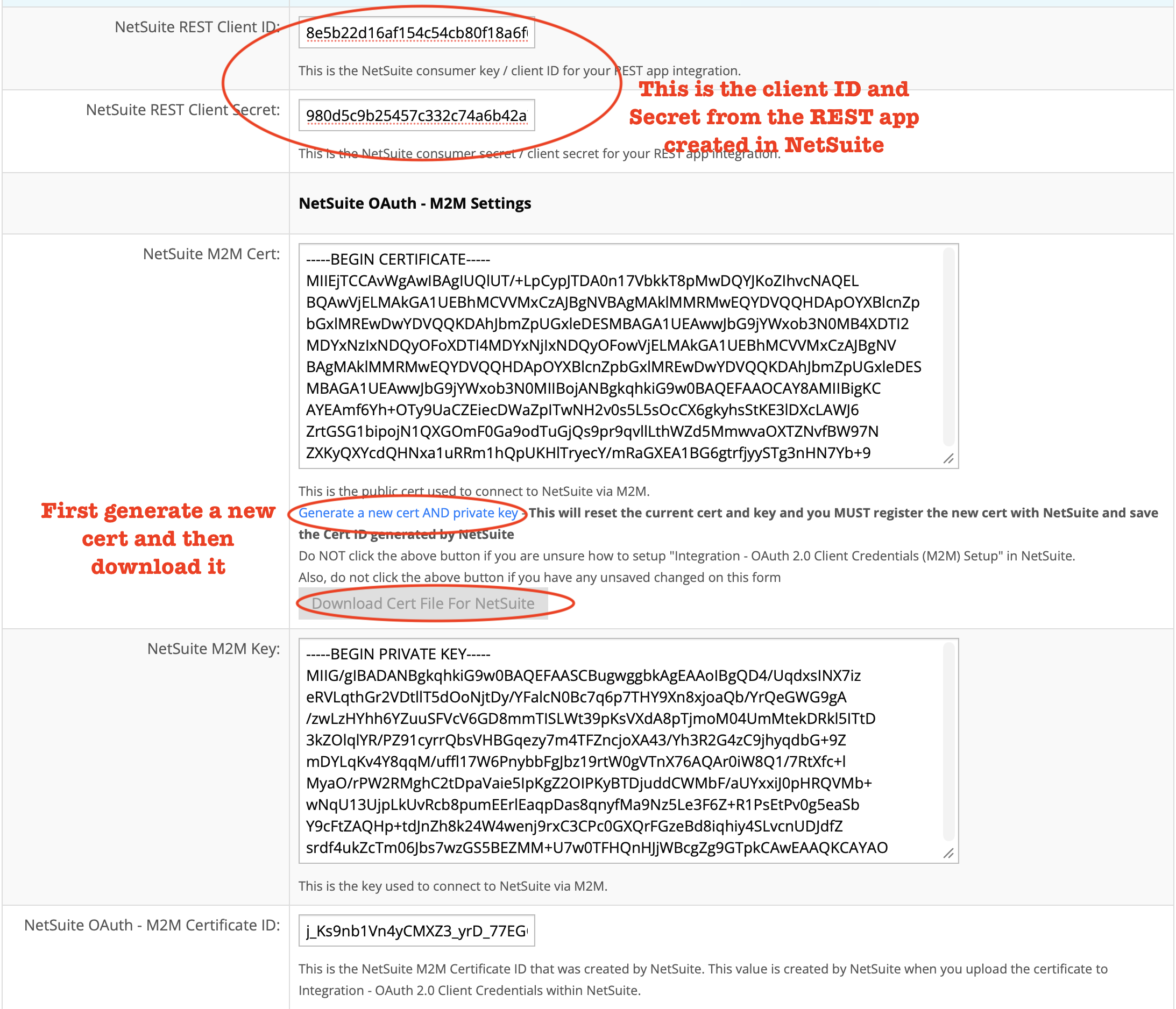 Generate a new cert AND private key in the InfiPlex NetSuite Settings area